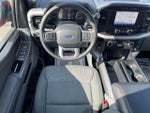 2023 F-150 Thumbnail 6