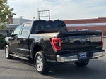2022 F-150 Thumbnail 5