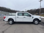 2021 F-150 Thumbnail 4