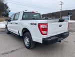 2021 F-150 Thumbnail 8