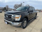 2021 F-150 Thumbnail 9