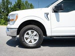 2022 F-150 Thumbnail 4