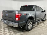 2015 F-150 Thumbnail 4
