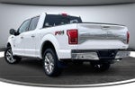 2015 F-150 Thumbnail 4