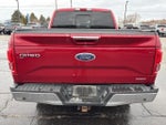 2015 F-150 Thumbnail 7