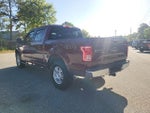 2016 F-150 Thumbnail 3