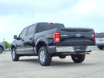 2017 F-150 Thumbnail 7