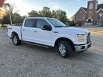 2015 F-150 Thumbnail 4