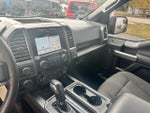 2016 F-150 Thumbnail 14