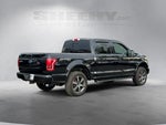 2016 F-150 Thumbnail 13