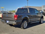 2016 F-150 Thumbnail 9