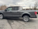 2017 F-150 Thumbnail 5