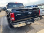 2016 F-150 Thumbnail 11