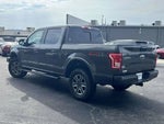 2017 F-150 Thumbnail 5