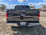 2015 F-150 Thumbnail 5