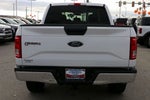 2016 F-150 Thumbnail 6