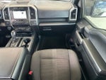 2017 F-150 Thumbnail 12