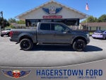 2017 F-150 Thumbnail 1