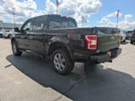 2018 F-150 Thumbnail 6