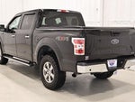 2018 F-150 Thumbnail 7