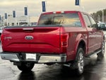 2015 F-150 Thumbnail 13