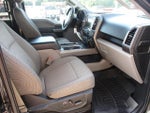 2015 F-150 Thumbnail 12