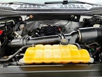 2017 F-150 Thumbnail 26