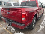 2017 F-150 Thumbnail 11