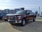 2017 F-150 Thumbnail 19