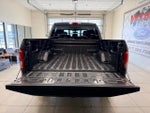 2017 F-150 Thumbnail 6