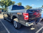 2018 F-150 Thumbnail 4