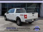 2018 F-150 Thumbnail 3