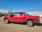 2015 F-150 Thumbnail 3