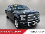 2015 F-150 Thumbnail 3