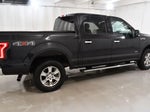 2015 F-150 Thumbnail 9