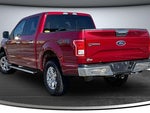 2015 F-150 Thumbnail 4