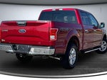 2015 F-150 Thumbnail 6
