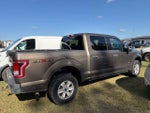 2016 F-150 Thumbnail 8