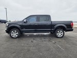 2017 F-150 Thumbnail 7