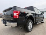2018 F-150 Thumbnail 6