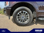 2018 F-150 Thumbnail 25