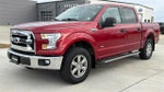 2015 F-150 Thumbnail 7