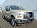 2017 F-150 Thumbnail 1