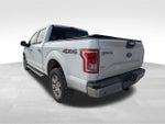 2017 F-150 Thumbnail 5