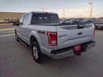 2017 F-150 Thumbnail 7