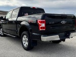 2018 F-150 Thumbnail 6