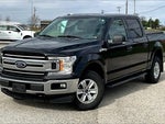 2018 F-150 Thumbnail 8