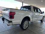 2019 F-150 Thumbnail 4