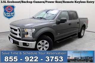 2015 Ford F-150 with Magnetic Metallic Exterior
