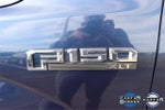2015 F-150 Thumbnail 6
